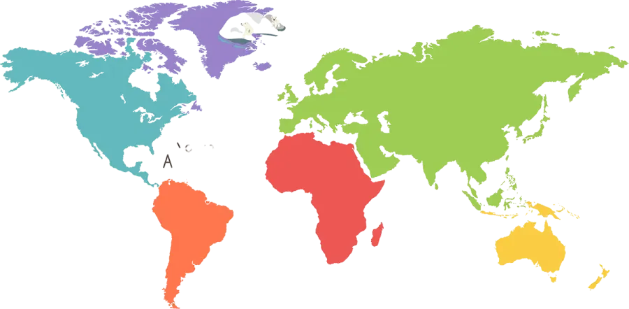 Colourful world map representing Geego's international work
